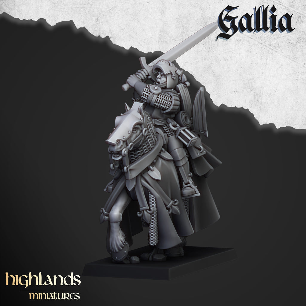 Questing Knights