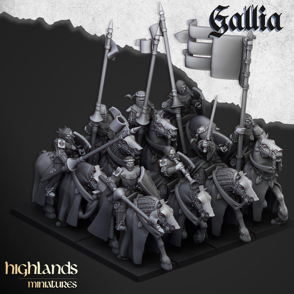 Young Knights Of Gallia