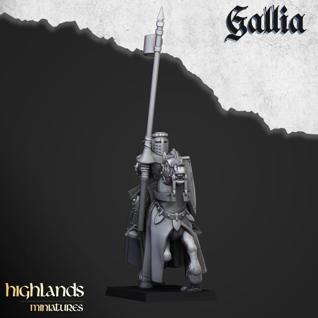 Young Knights Of Gallia
