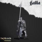 Young Knights Of Gallia