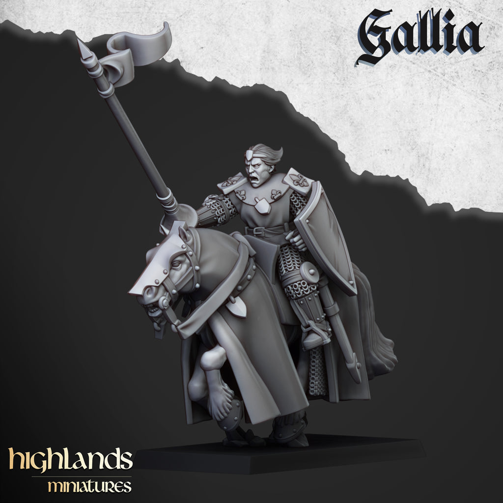 Young Knights Of Gallia