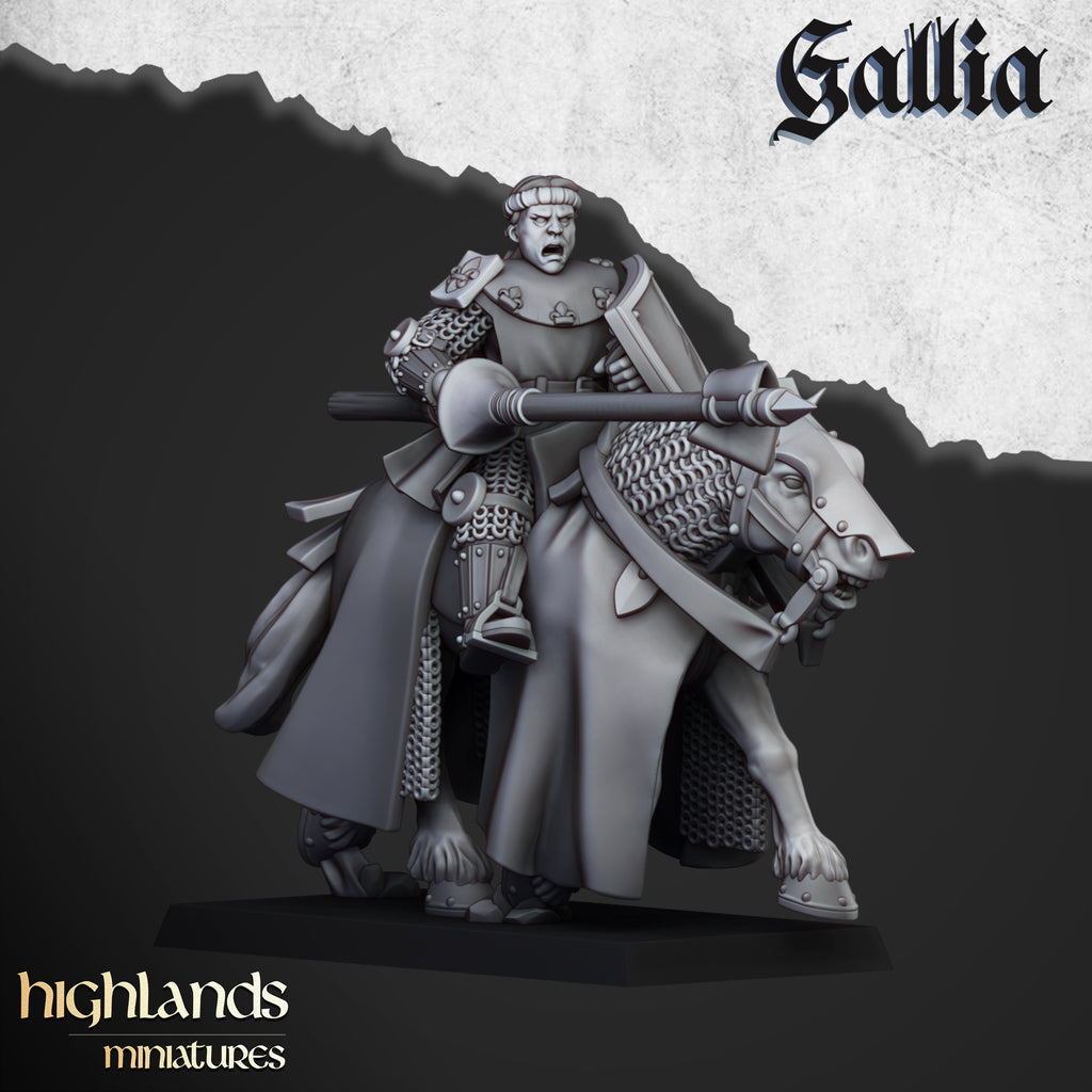 Young Knights Of Gallia