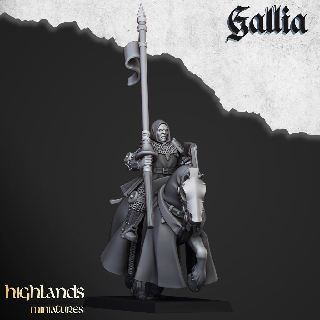Young Knights Of Gallia
