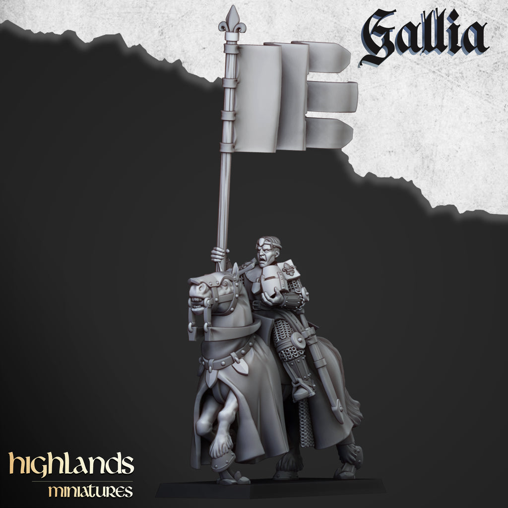 Young Knights Of Gallia