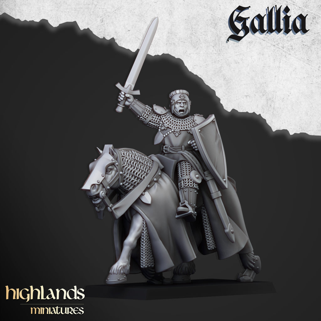 Young Knights Of Gallia