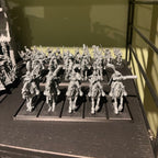 Slim Movement Trays